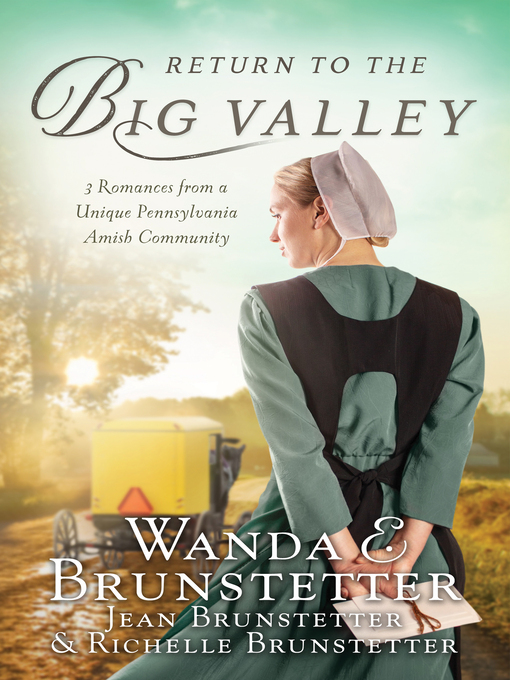 Title details for Return to the Big Valley by Wanda E. Brunstetter - Available